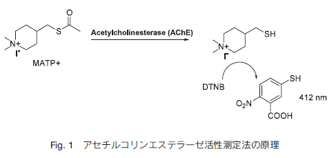 fig.1