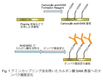 Fig.1