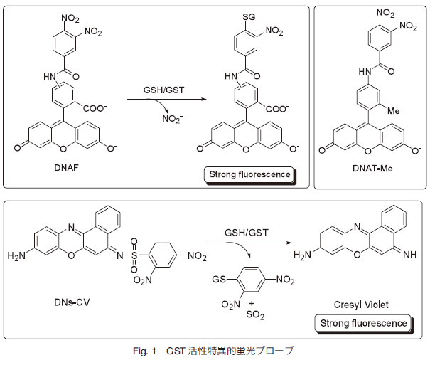 Fig1