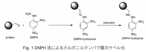 fig.1