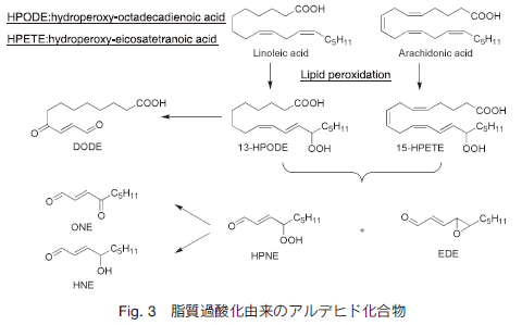 fig.3