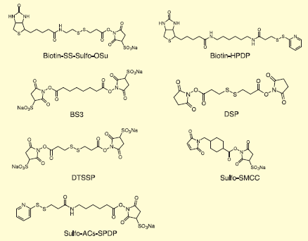 Fig.2