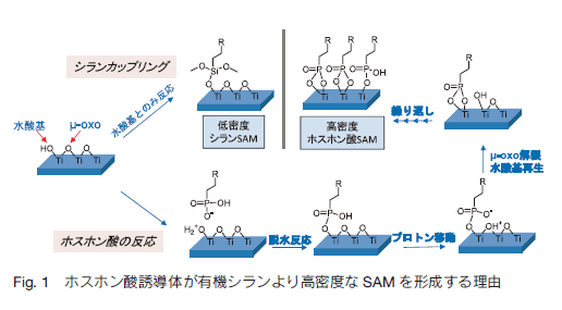 酸 ホスホン