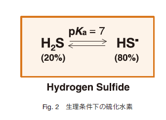 水素 方法 硫化 発生