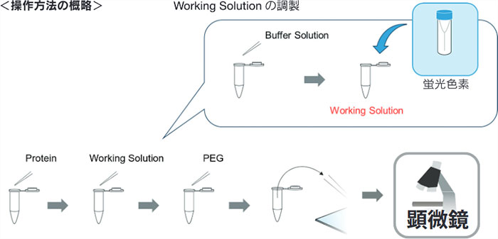 ＜操作方法の概略＞ Working Solutionの調製