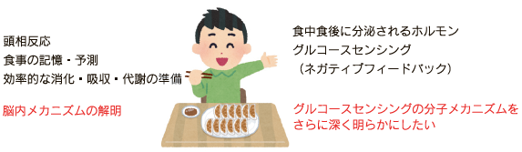 図3 今後の研究目標