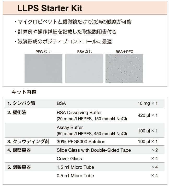 液的作成法・観察方法の確認