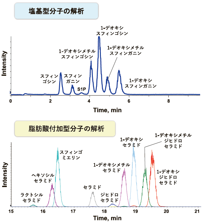 LC-ESI-MS/MS を用いたスフィンゴ脂質解析