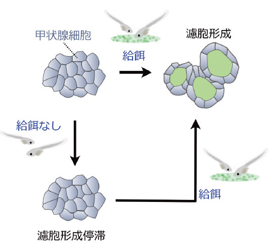 図2