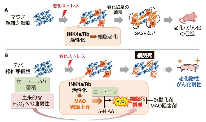 図3