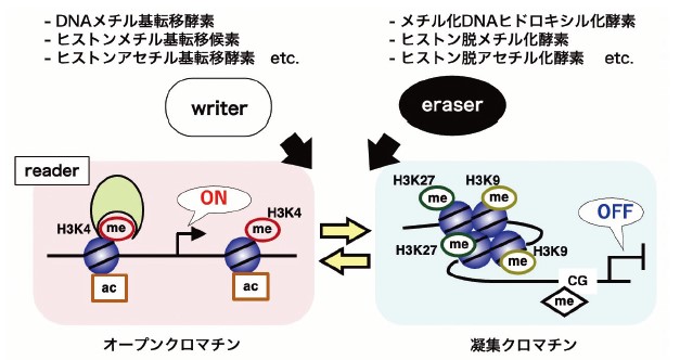 図1