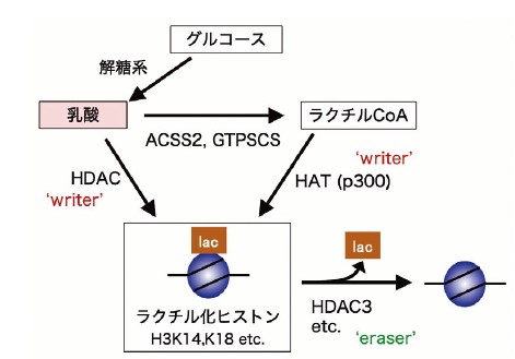 図3
