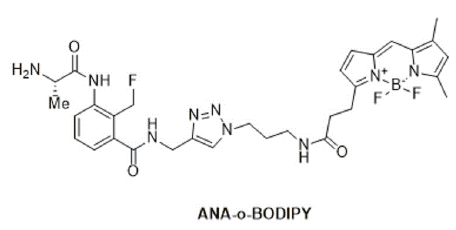 図2　ANA-o-BODIPY