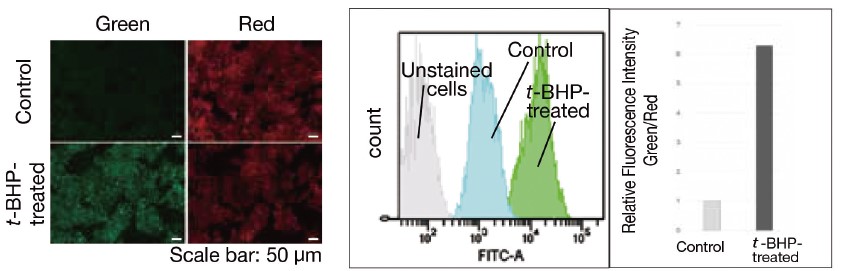 ＜さまざまな検出器で検出可能＞