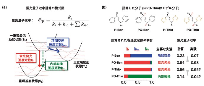 図2．リン架橋スチルベンの蛍光量子収率に関する計算の概要