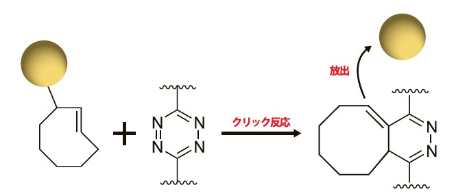 図1　「click-to-release」反応の模式図