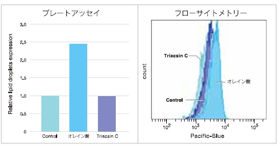 ＜L929 細胞を用いた検出例＞