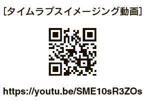 タイムラプスイメージング動画 QRコード