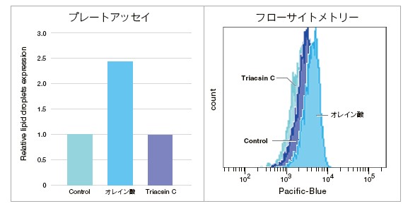 プレートアッセイとフローサイトメトリーによる脂肪滴量の測定