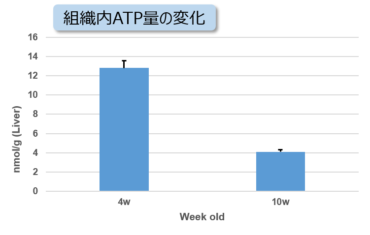 ATP測定キット ATP Assay Kit-Luminescence　同仁化学研究所