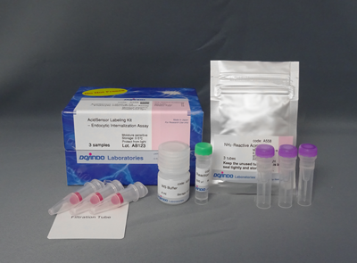 AcidSensor Labeling Kit Endocytic Internalization Assay
