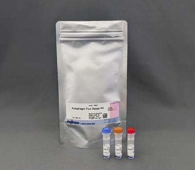 Autophagic Flux Assay Kit