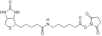 Biotin-AC<sub>5</sub>-OSu