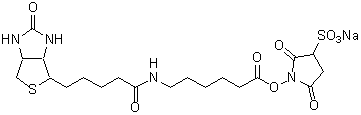 Biotin-AC<sub>5</sub> Sulfo-OSu