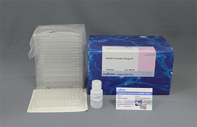 Biofilm Formation Assay Kit