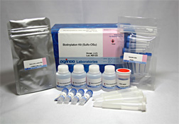 Biotinylation Kit (Sulfo-OSu)