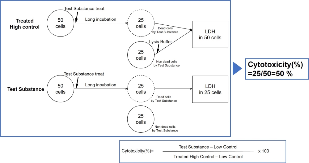 細胞毒性測定キット Cytotoxicity LDH Assay Kit-WST 同仁化学研究所