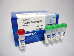 -<em>Cellstain</em><sup>®</sup>- Double Staining Kit