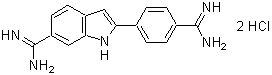 -<em>Cellstain</em><sup>®</sup>- DAPI