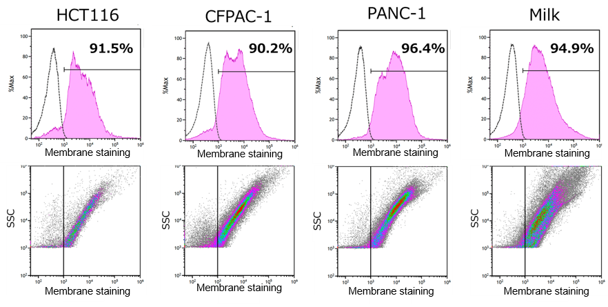 エクソソーム 膜蛍光染色キット <span style='color:#008000;'>Green