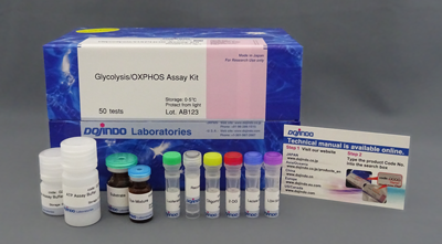 Glycolysis/OXPHOS Assay Kit