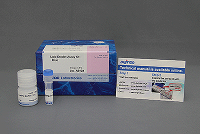 Lipid Droplet Assay Kit - Blue