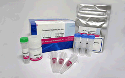 Fluorescein Labeling Kit - NH<sub>2</sub>