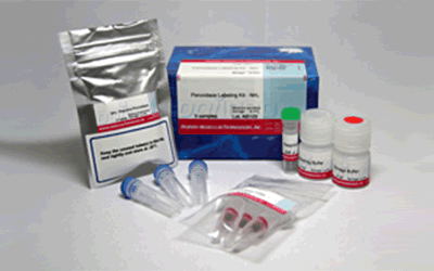 Peroxidase Labeling Kit - NH<sub>2</sub>