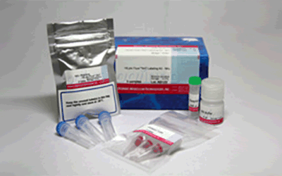 HiLyte Fluor™ 647 Labeling Kit - NH<sub>2</sub>