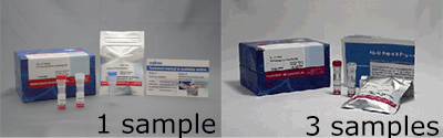 Ab-10 Rapid R-Phycoerythrin Labeling Kit
