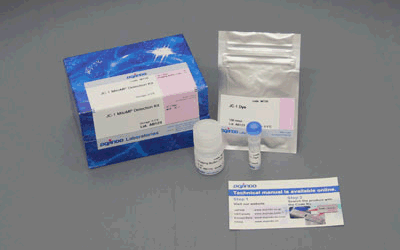 JC-1 MitoMP Detection Kit
