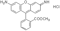 -<i>Cellstain</i><sup>®</sup>- Rh123