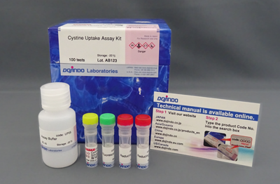 Cystine Uptake Assay Kit