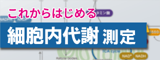 これからはじめる 細胞内代謝測定