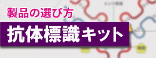 抗体標識キット 製品の選び方