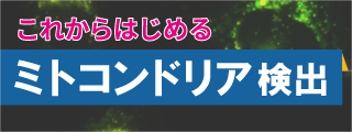 これからはじめる ミトコンドリア検出