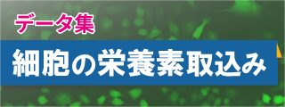 細胞の栄養素取込み