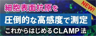 CLAMP法