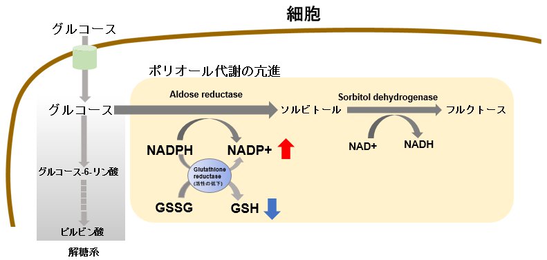 ポリオール経路