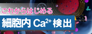 これからはじめる細胞内Ca2+検出